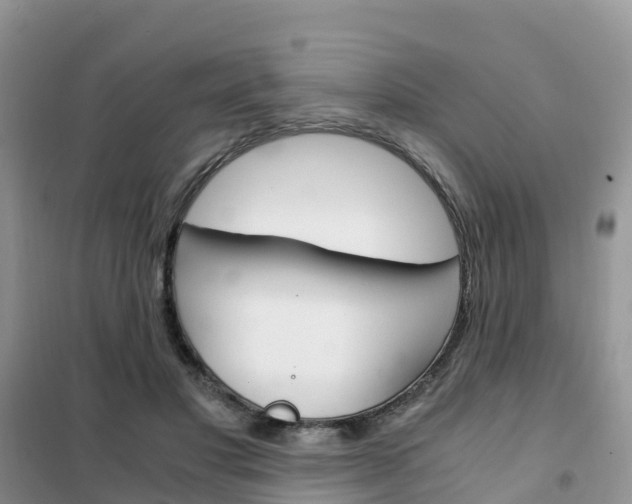 X0000102370501200808011027