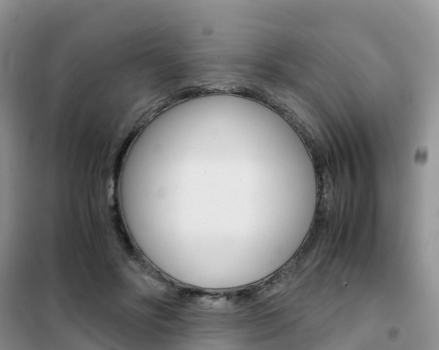 X0000102370502200808011027