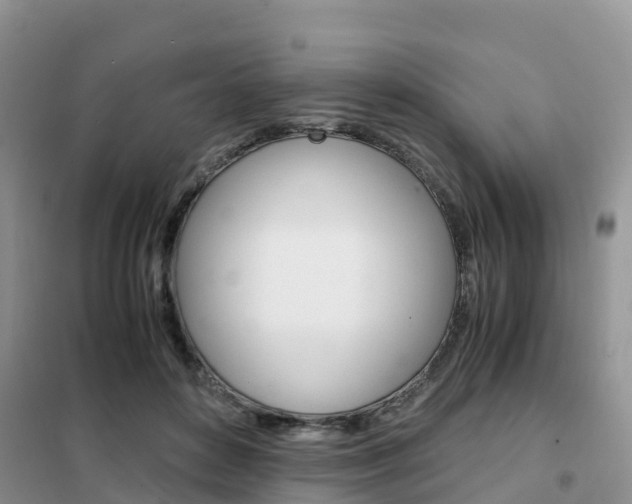 X0000102370504200808011027