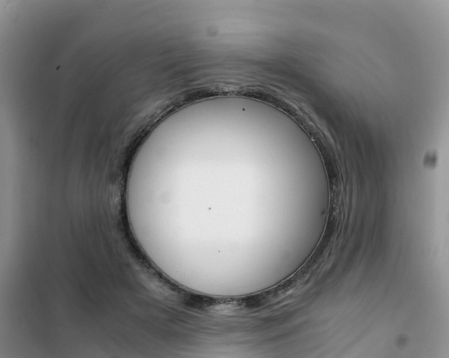 X0000102370505200808011027