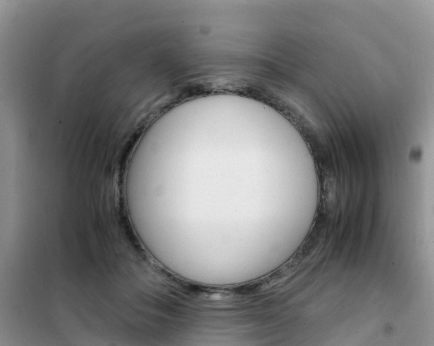 X0000102370506200808011027