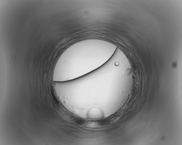 X0000102370507200808011027