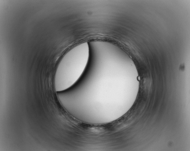 X0000102370508200808011027