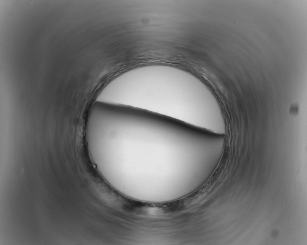 X0000102370509200808011027