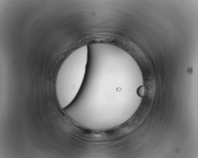 X0000102370510200808011027