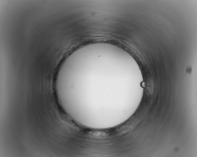 X0000102370512200808011027