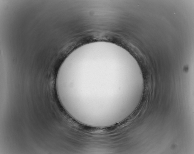 X0000102370513200808011027