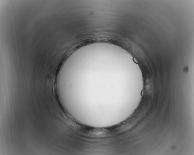 X0000102370514200808011027