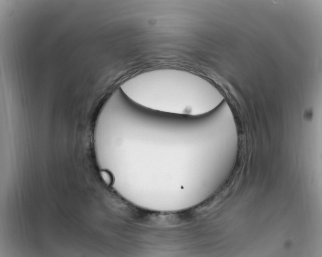 X0000102370517200808011027