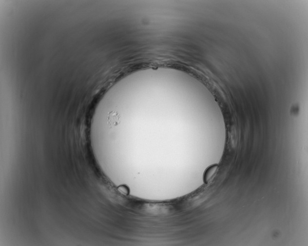X0000102370520200808011027