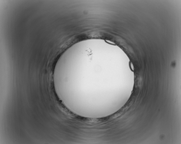 X0000102370521200808011027