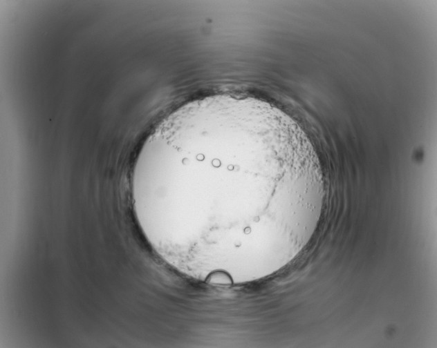 X0000102370523200808011027
