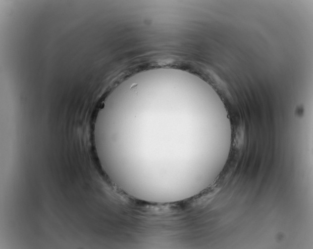 X0000102370524200808011027