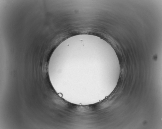 X0000102370525200808011027