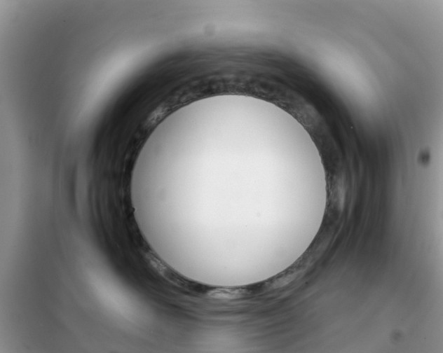 X0000102370526200808011027