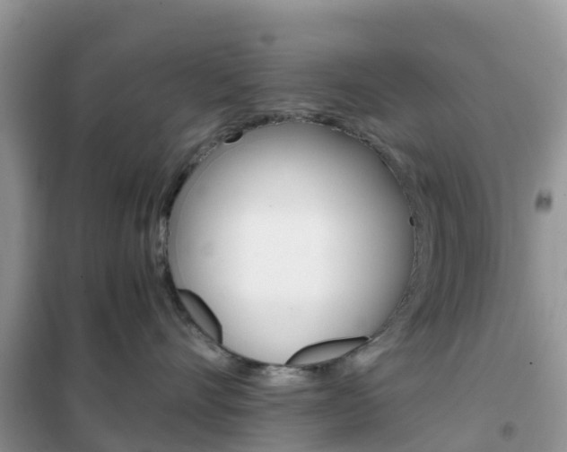 X0000102370528200808011027