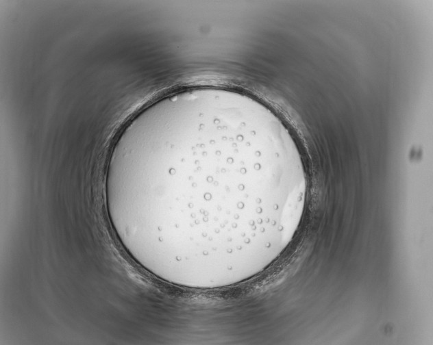 X0000102370529200808011026