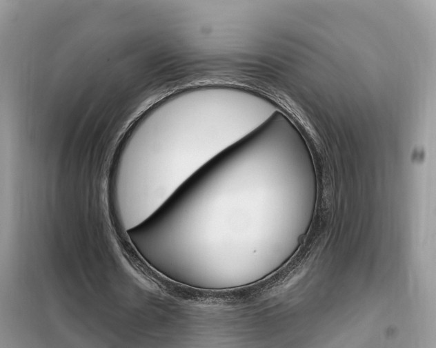 X0000102370530200808011026
