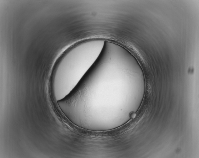 X0000102370532200808011026