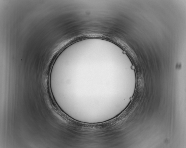 X0000102370533200808011026
