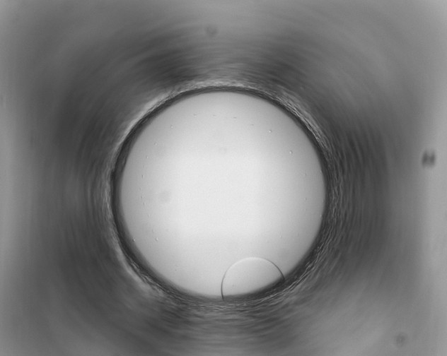 X0000102370534200808011026