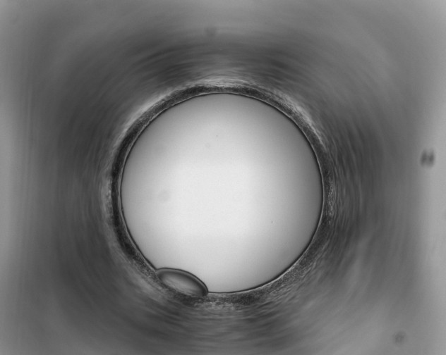 X0000102370535200808011026