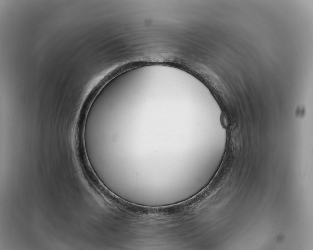 X0000102370536200808011026