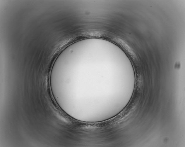 X0000102370537200808011026