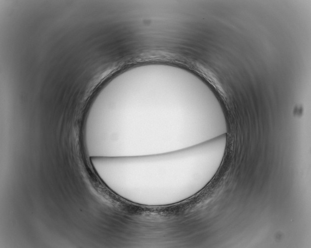 X0000102370538200808011026