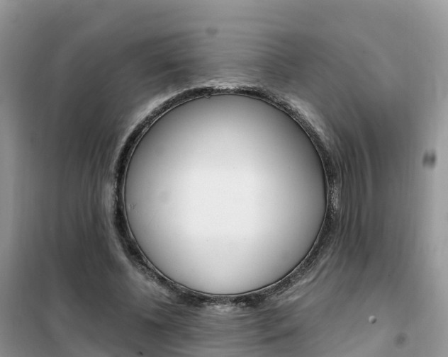 X0000102370540200808011026