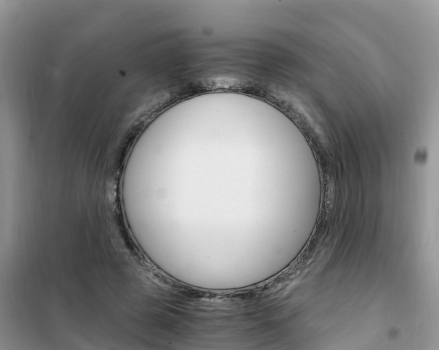 X0000102370545200808011026