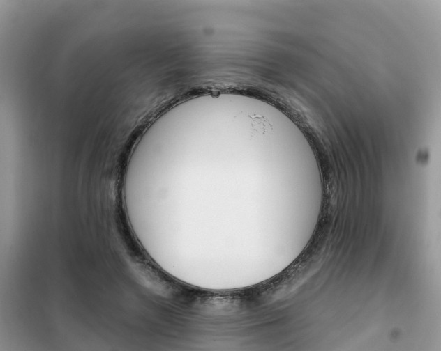 X0000102370546200808011026