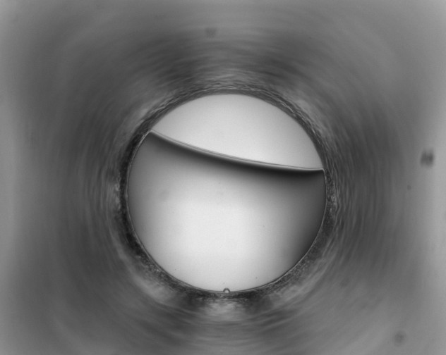 X0000102370547200808011026