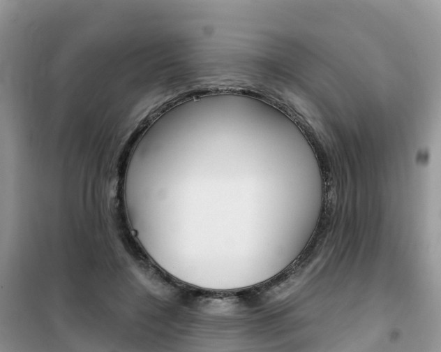 X0000102370548200808011026