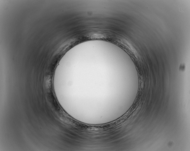 X0000102370549200808011026