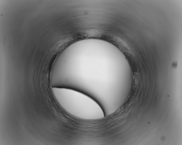 X0000102370550200808011026