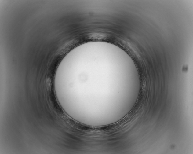 X0000102370551200808011026