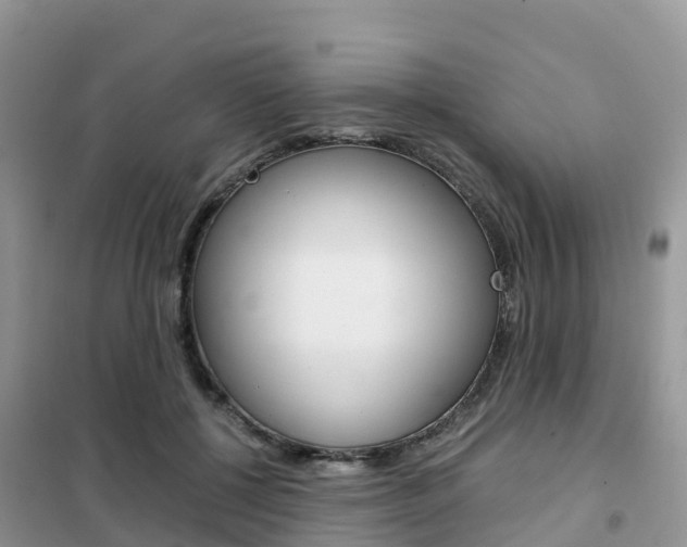 X0000102370552200808011026