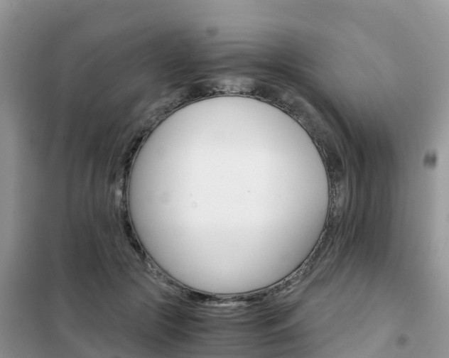 X0000102370553200808011026
