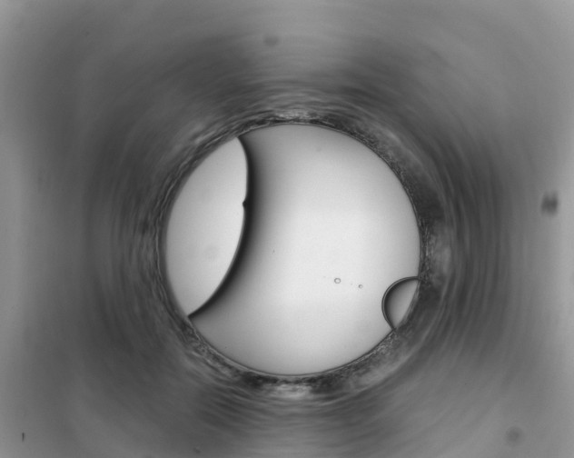 X0000102370554200808011026