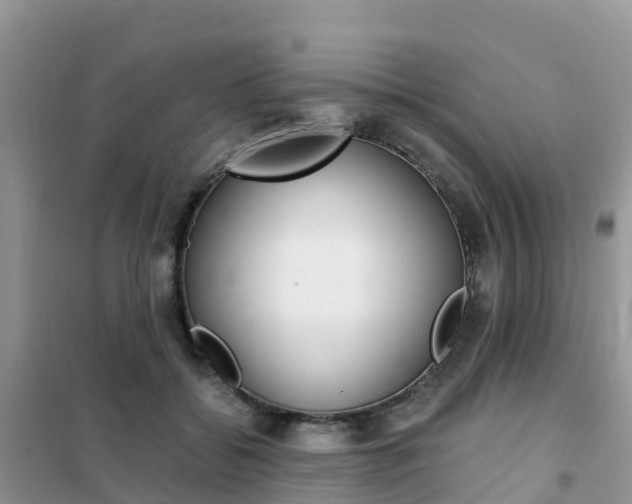 X0000102370556200808011026