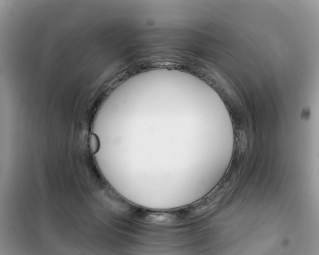 X0000102370557200808011026