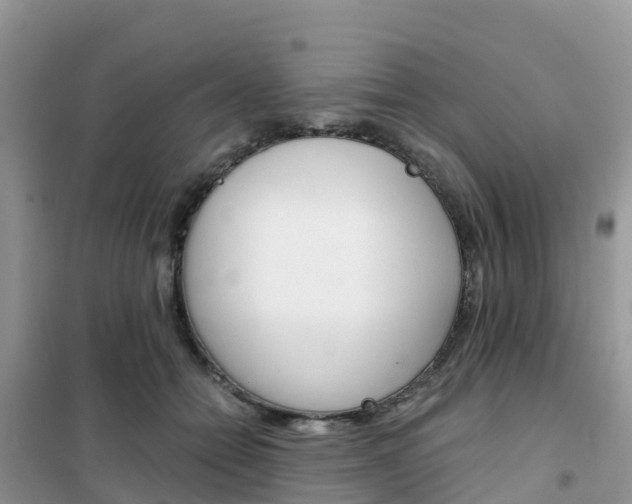 X0000102370558200808011026