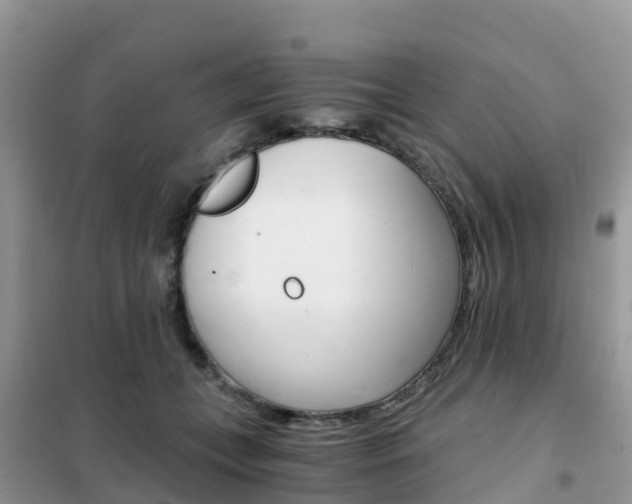 X0000102370559200808011026