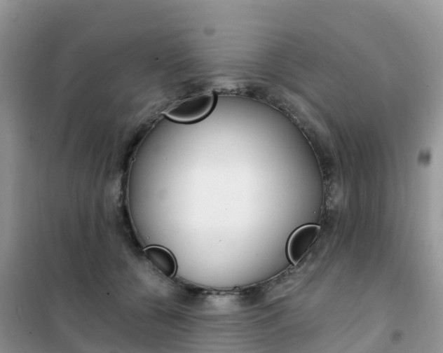 X0000102370560200808011026