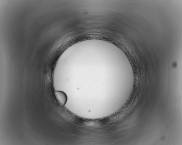 X0000102370561200808011026