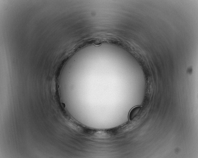 X0000102370562200808011026