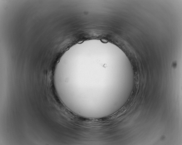 X0000102370563200808011026