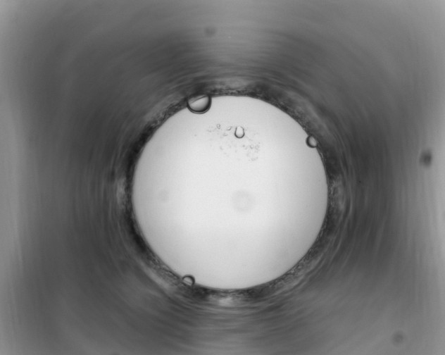 X0000102370564200808011026