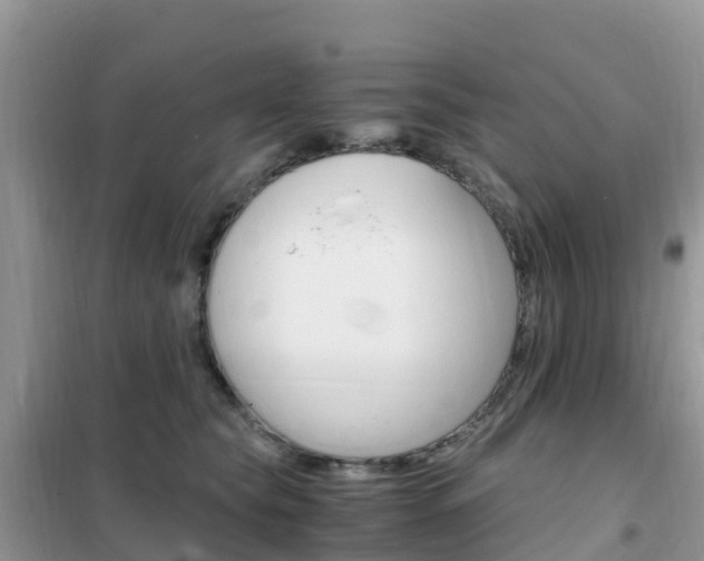 X0000102370565200808011026